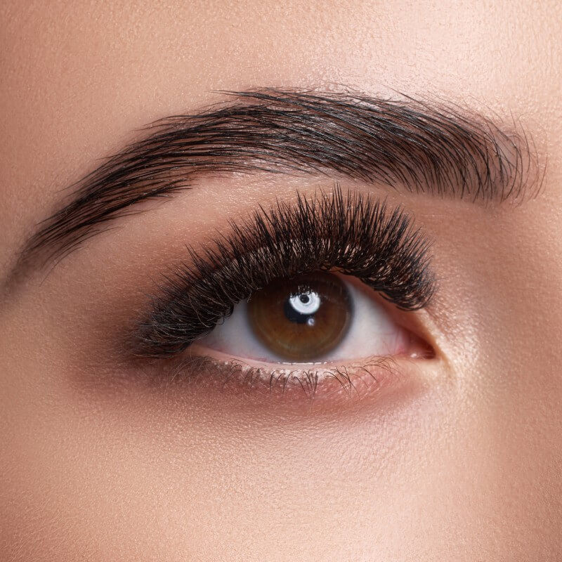 Sourcils